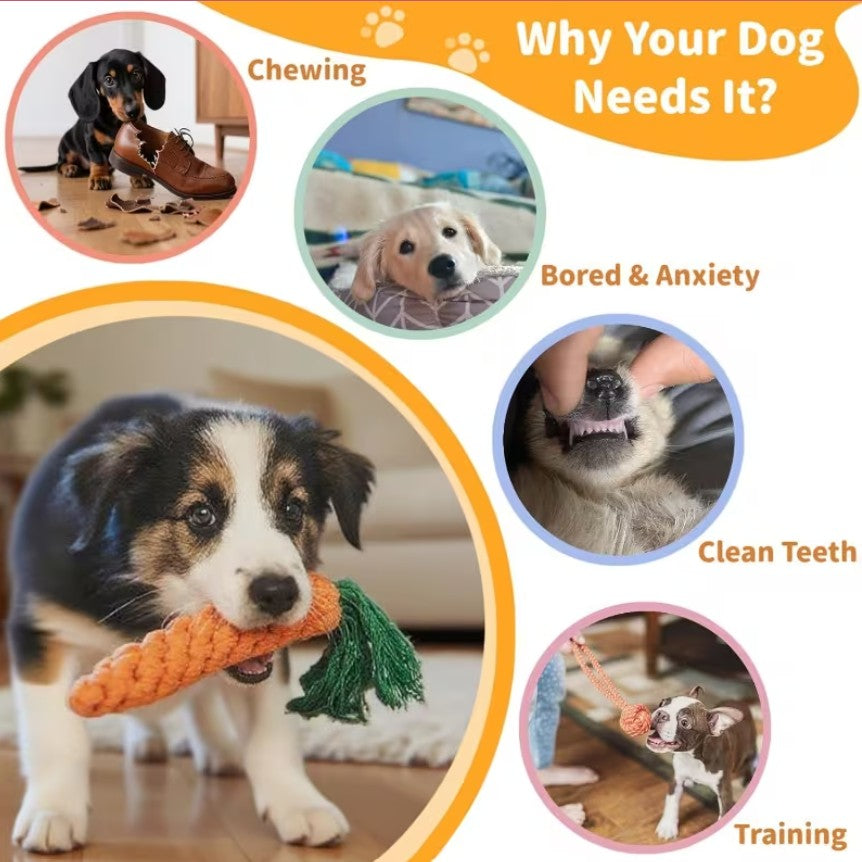HappyTug™ 2-Piece Puppy Rope Toy Set